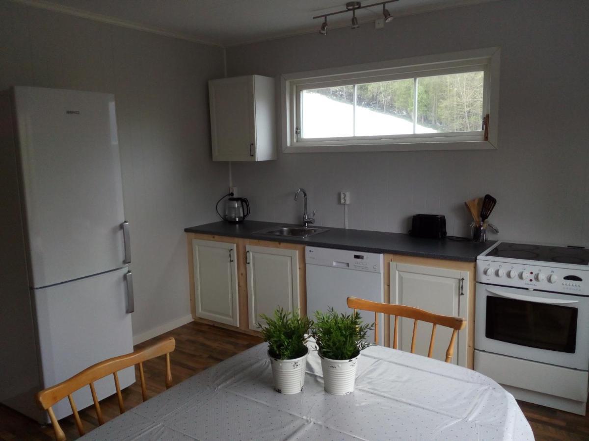 فيلا Isfjordenفي Mountain View House المظهر الخارجي الصورة